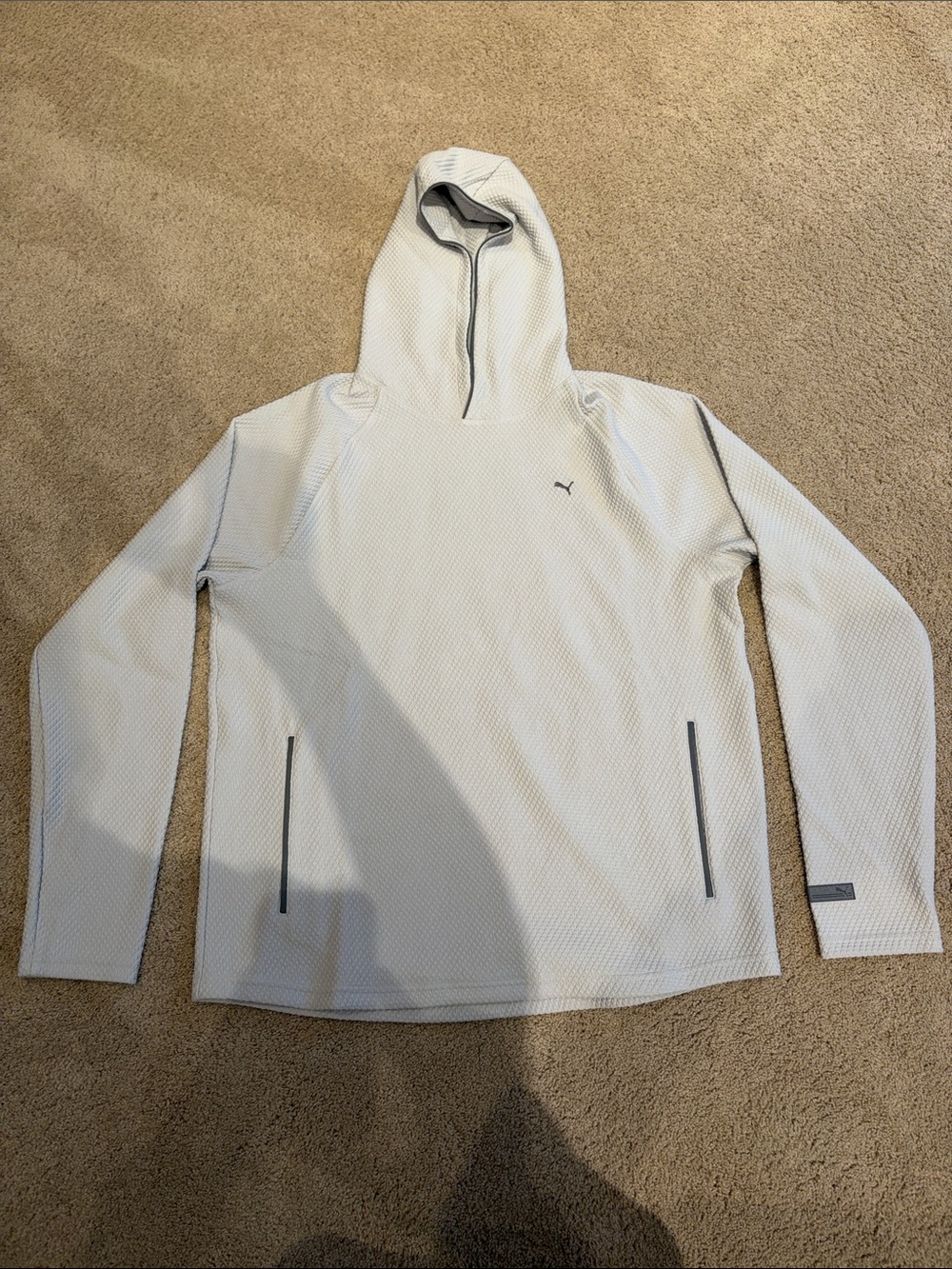 Puma Men's Light Gray Performance Hooded Pullover
